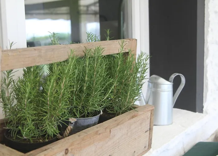 Marejada Food And Drinks La Isla