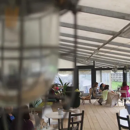 Marejada Food And Drinks بيت شباب لا آيسلا